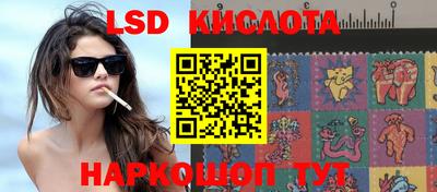 ПСИЛОЦИБИНОВЫЕ ГРИБЫ Берёзовский