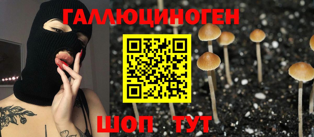 Галлюциногенные грибы GOLDEN TEACHER Кизляр